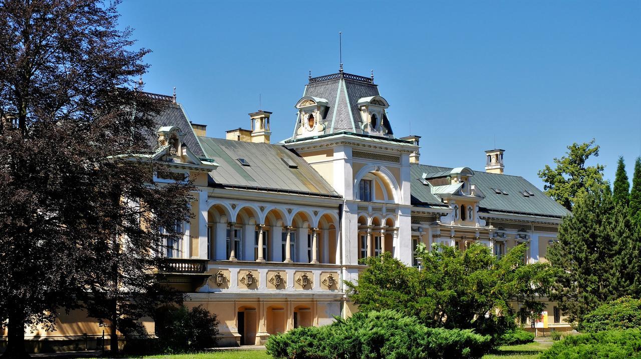 Hotel Zamek Světlá nad Sázavou Exterior foto